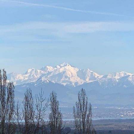Chalet Du Montblanc 4 Pers Max Жекс Экстерьер фото